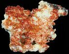 Red Vanadinite Crystal Cluster - Morocco #38528-2